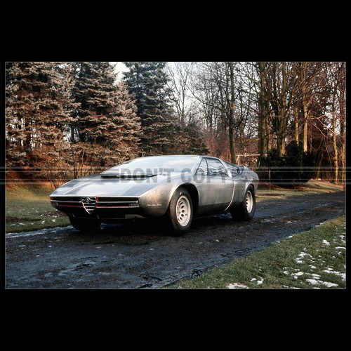 Photo 033933 alfa - a.033933, romeo