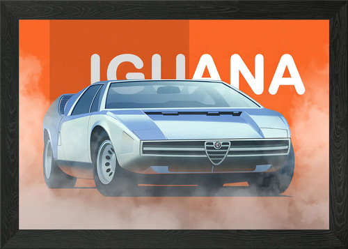Alfa romeo iguana concept - romeo,